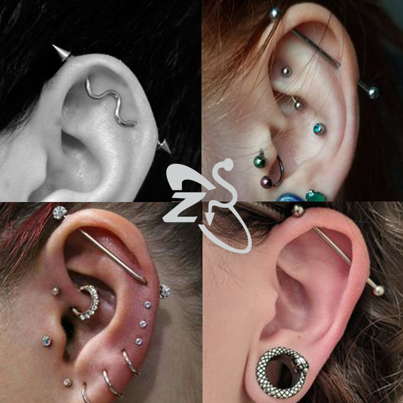 ZS 1PC Chirurgische Stahl Fled – Body Jewelry Surgical Steel Bewertung und Preis